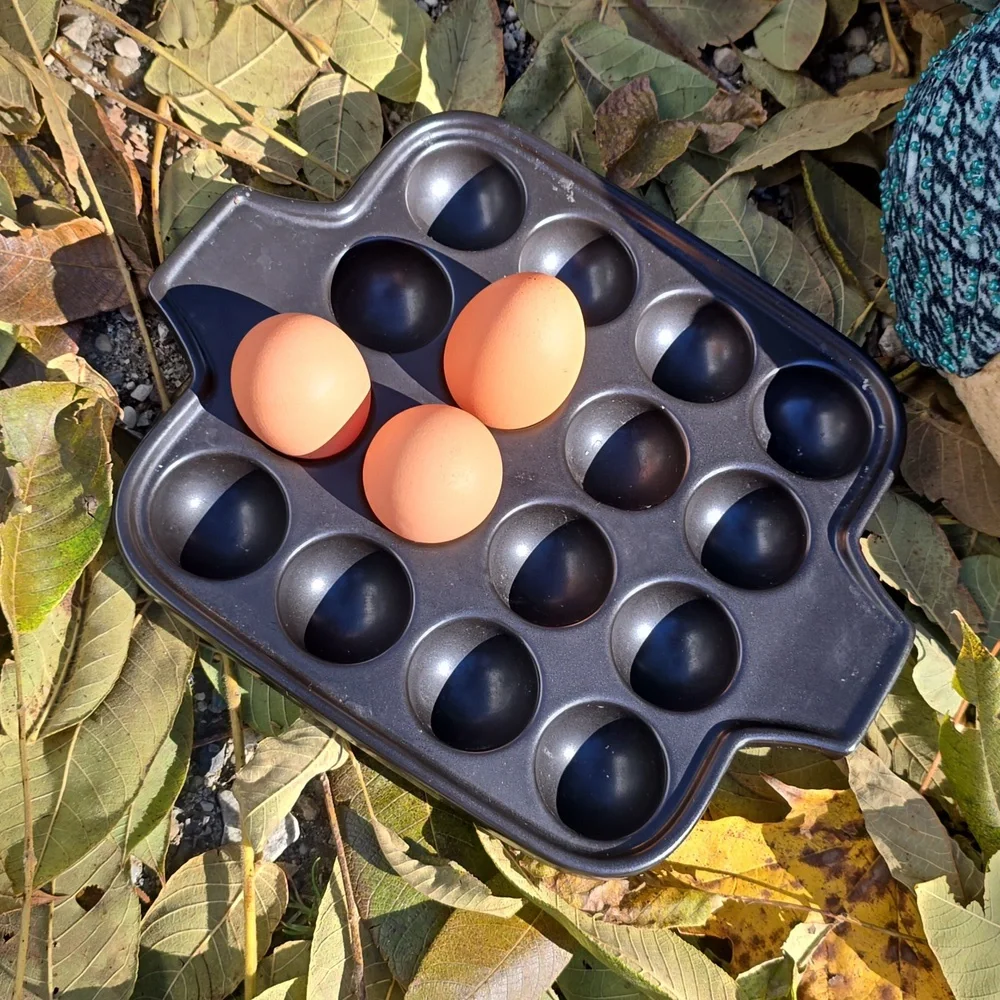 Farmhouse Kitchen Matte Black Ceramic Square Egg Tray holds 12 dozen eggs
